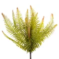 LIŚCIE PAPROCI bukiet,  kwiat sztuczny dekoracyjny - dł.56 cm dł. liść 36 cm - zielony 1