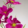 KOSMOS PIERZASTY, kwiat sztuczny dekoracyjny - dł. 60 cm dł. z kwiatami 28 cm śr. kwiat 8 cm - amarantowy 2