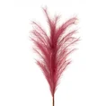 TRAWA PAMPASOWA - OZDOBNY PIÓROPUSZ kwiat sztuczny dekoracyjny - 104 cm - amarantowy 1