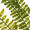 PAPROĆ - gałązka sztuczny kwiat dekoracyjny - 92 cm - zielony 2