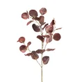 EUKALIPTUS  gałązka, kwiat sztuczny dekoracyjny - dł. 80 cm dł. liśći 50 cm dł. 7 cm - bordowy 1
