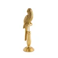 Papuga figurka dekoracyjna złota - 14 x 9 x 35 cm - złoty 3