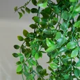GIRLANDA ZWISAJĄCA - DROBNE LISTECZKI, kwiat sztuczny dekoracyjny - dł. 100 cm dł. z liśćmi 85 cm dł. liść poj. 2 cm - zielony 2