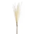 TRAWA PAMPASOWA - OZDOBNY PIÓROPUSZ kwiat sztuczny dekoracyjny - 80 cm - kremowy 1