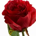 RÓŻA kwiat sztuczny dekoracyjny z płatkami z jedwabistej tkaniny - ∅ 7 x 63 cm - czerwony 2