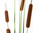 TATARAK, PAŁKA WODNA sztuczna roślina dekoracyjna - 150 cm - brązowy 2